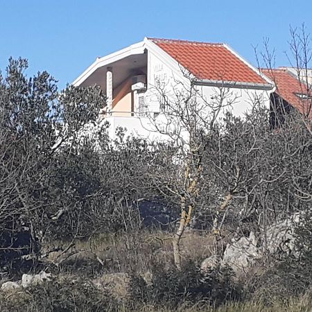 Villa Palfi Jezera Dış mekan fotoğraf