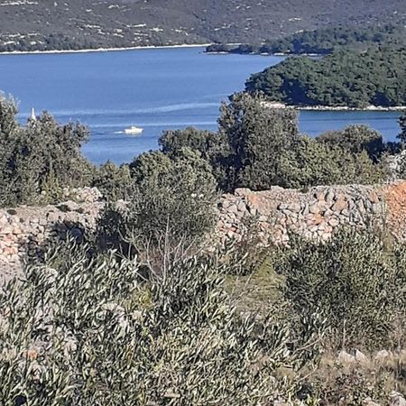 Villa Palfi Jezera Dış mekan fotoğraf