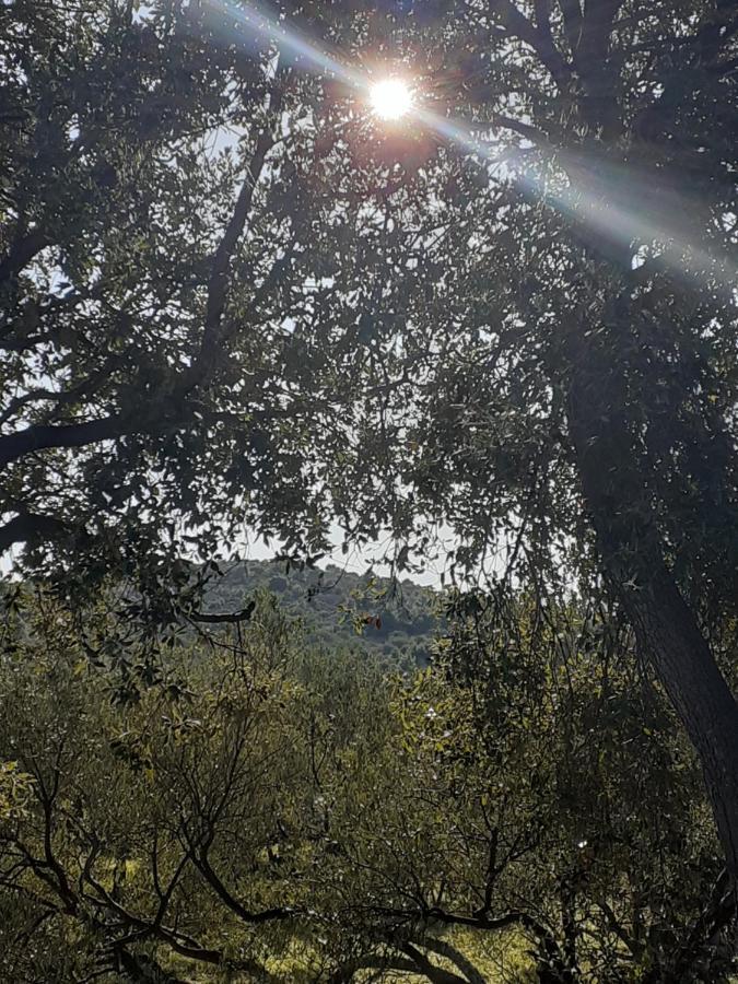 Villa Palfi Jezera Dış mekan fotoğraf